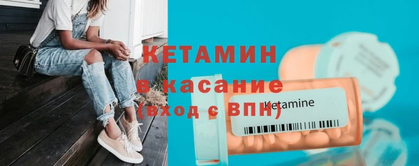 шишки Мегион