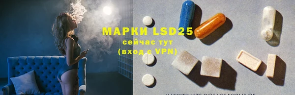 шишки Мегион