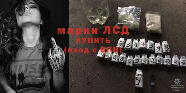 шишки Мегион