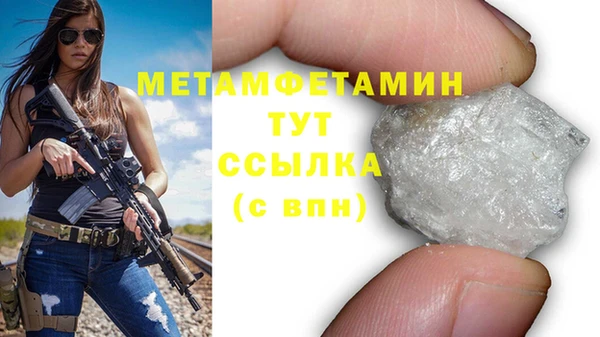 шишки Мегион