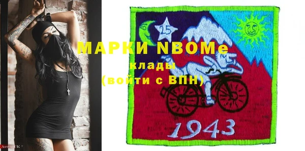 шишки Мегион