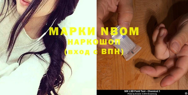 шишки Мегион