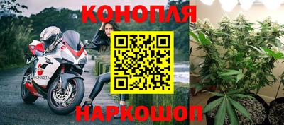 a pvp Дубна