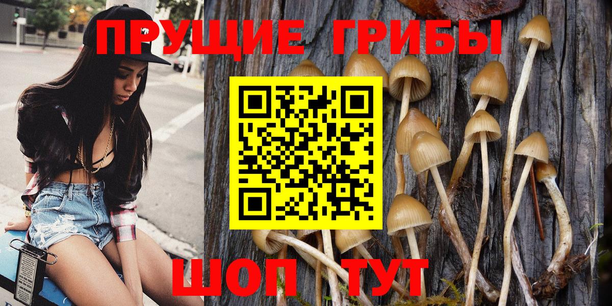 Галлюциногенные грибы MAGIC MUSHROOMS Электрогорск