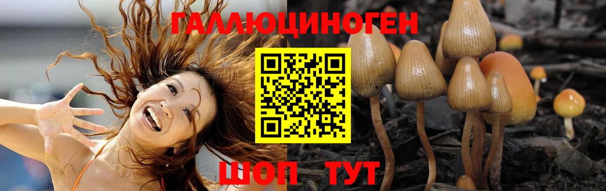 Псилоцибиновые грибы мухоморы  Электрогорск 